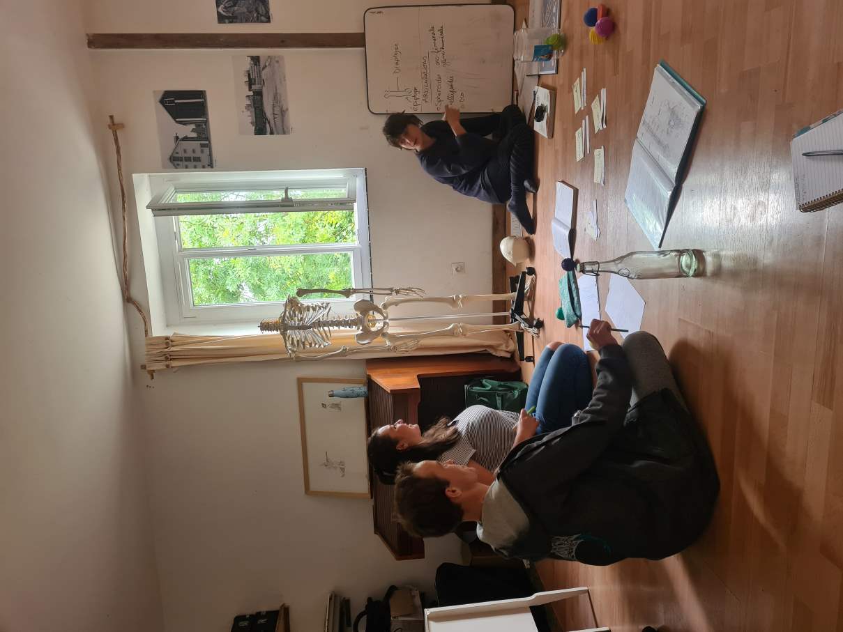 Formation premiers secours en santé mentale