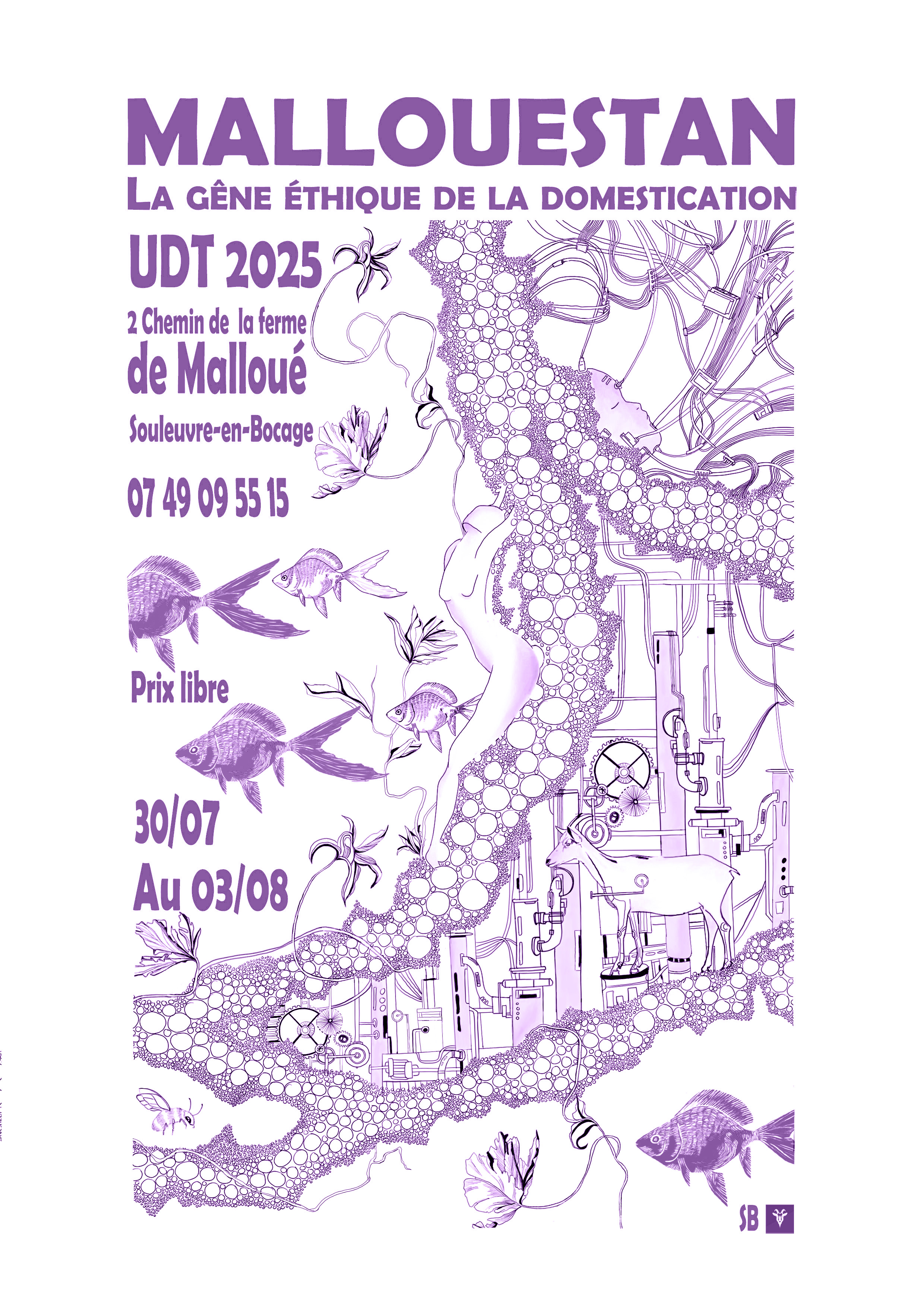 Universités été 2025