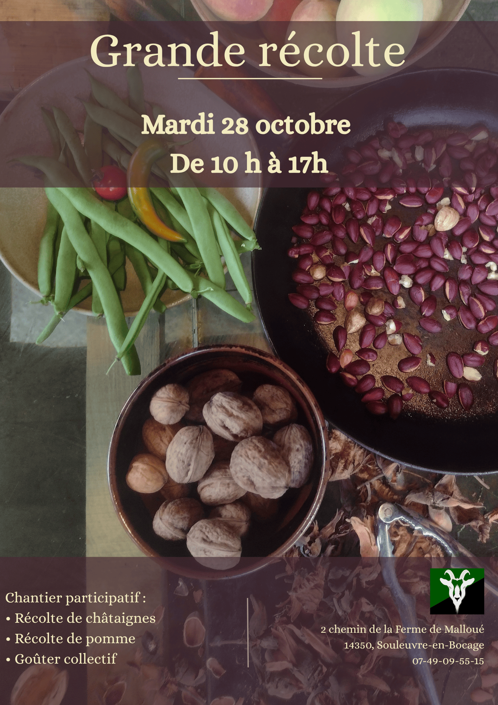Chantier participatif:Récolte de châtaignes
