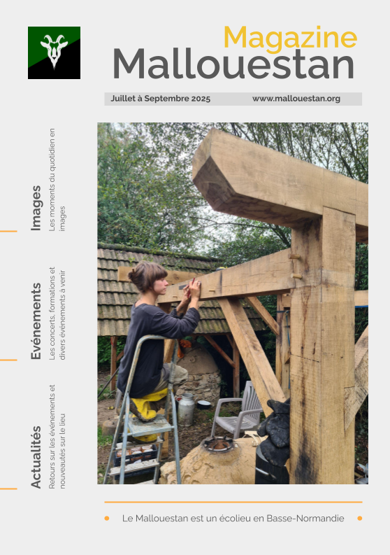 Newsletter T3 2025