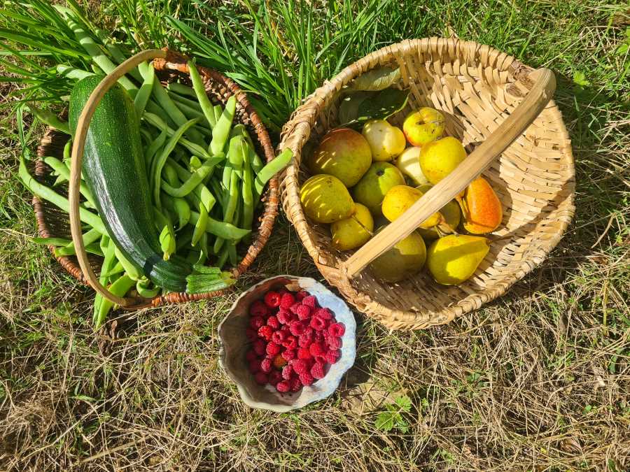 Une convivialité matérialiste non libérale