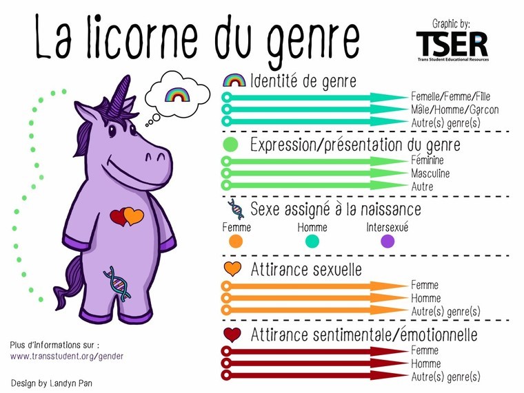 Les questions du genre